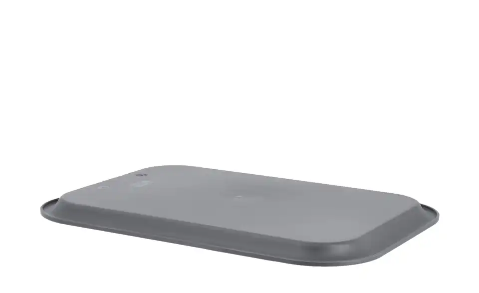 Rotho Deckel für Aufbewahrungsbox BRISEN BHT 26,5|1,2|18,5 cm