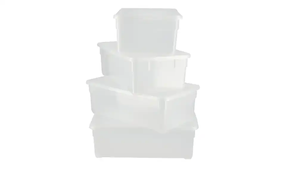 Rotho Aufbewahrungsbox BHL 19|11|33 cm