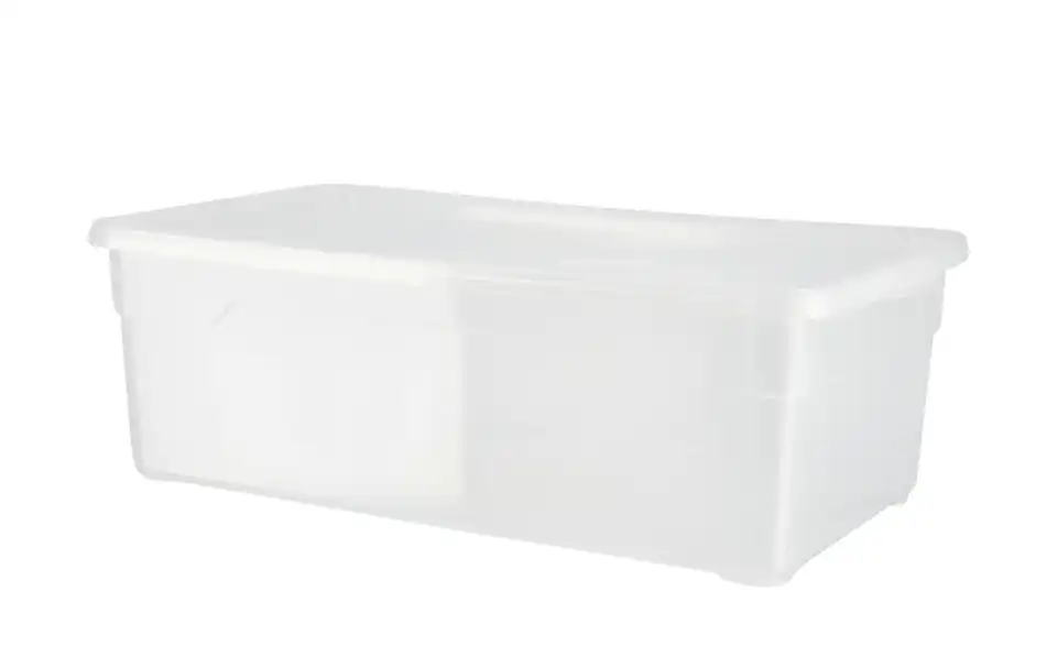 Rotho Aufbewahrungsbox BHL 19|11|33 cm