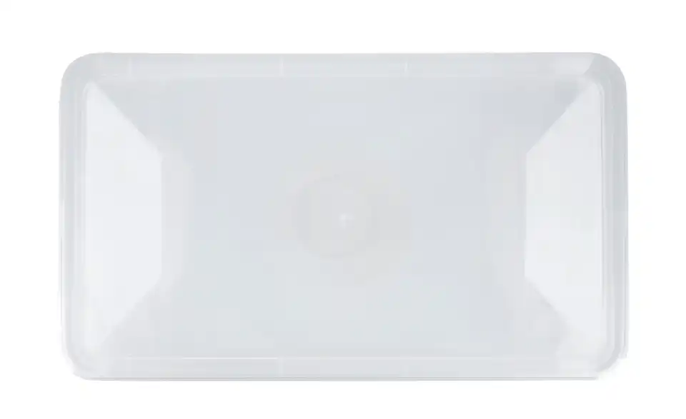 Rotho Aufbewahrungsbox BHL 19|11|33 cm