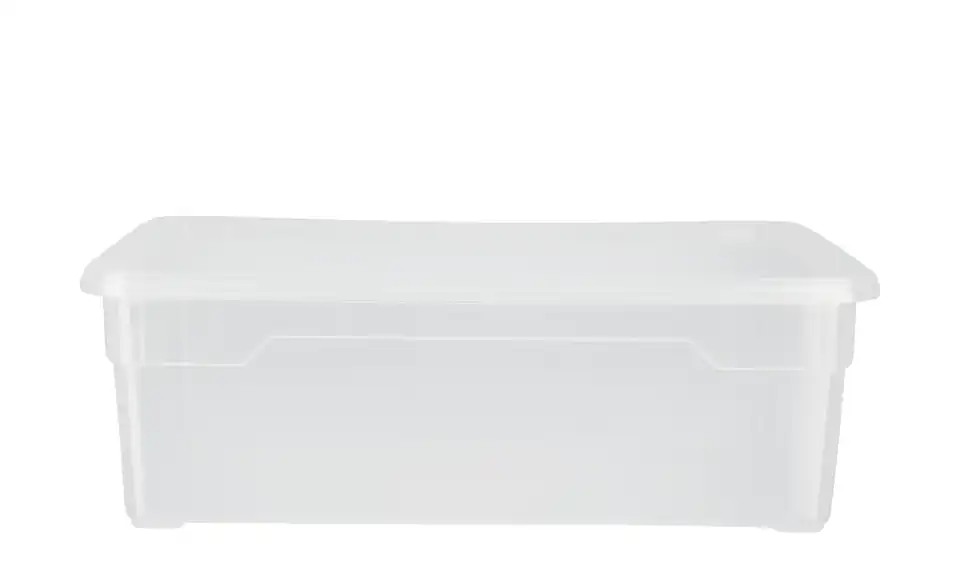 Rotho Aufbewahrungsbox BHL 19|11|33 cm