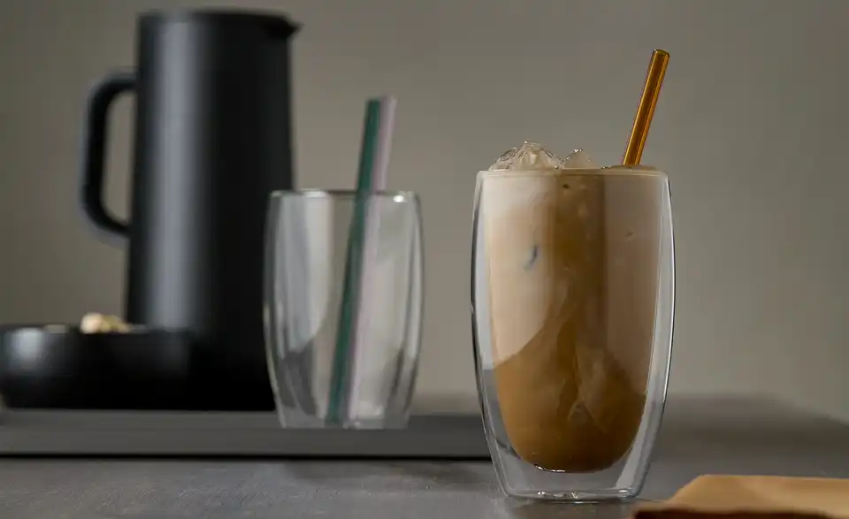 Peill+Putzler Glas-Trinkhalm-Set L 20 cm, Ø 0,8 cm