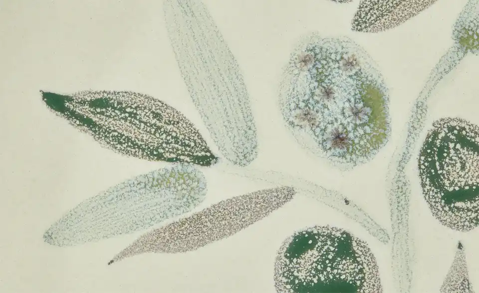 HOME STORY Teller Olive H 3 cm, Ø 23,8 cm