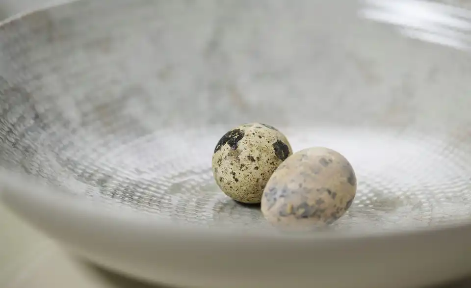 Ritzenhoff u0026 Breker Kaffeeservice 12-teilig Cecina BHL 26|28|38 cm