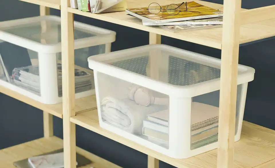 Rotho Aufbewahrungsbox 45 Liter Albris BHL 39|26,5|55,5 cm