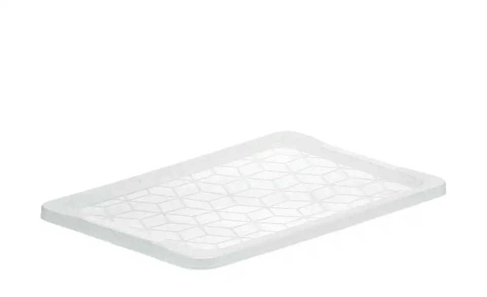 Rotho Deckel EVO EASY BHL 39,5|2|59 cm Rotho Deckel EVO EASY BHL 39,5|2|59 cm