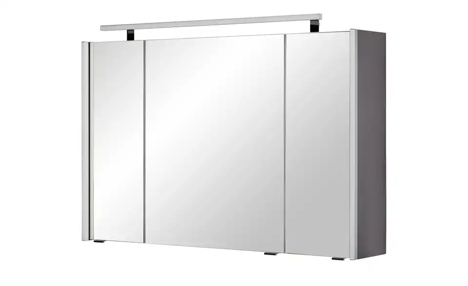 Spiegelschrank Fresdorfer See BHT 100|64|15 cm