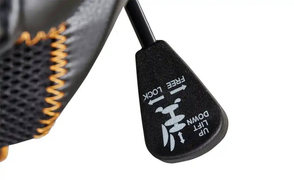 Chefsessel Buckau BHT 64|122|65 cm, Kunstleder