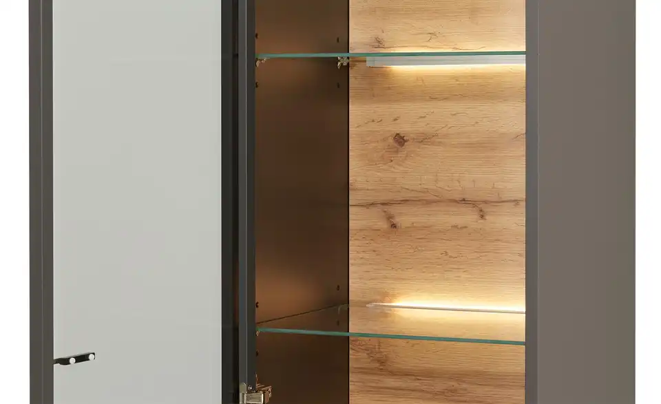 Hängevitrine Light Line 10 BHT 43|141|40 cm