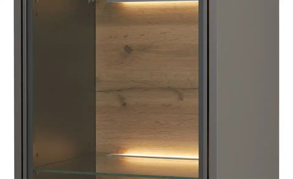 Hängevitrine Light Line 10 BHT 43|141|40 cm