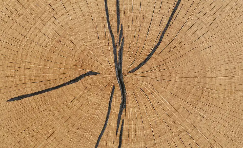 Gray u0026 Jones Schuhkommode Black Coast Two BHT 60|105|38 cm