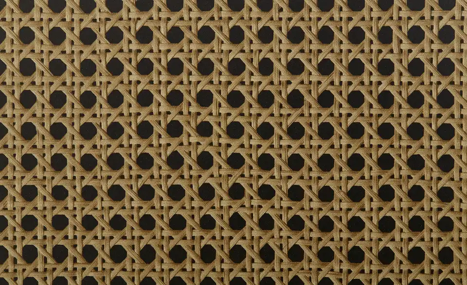 Vitrine Vienna BHT 80|195|40 cm