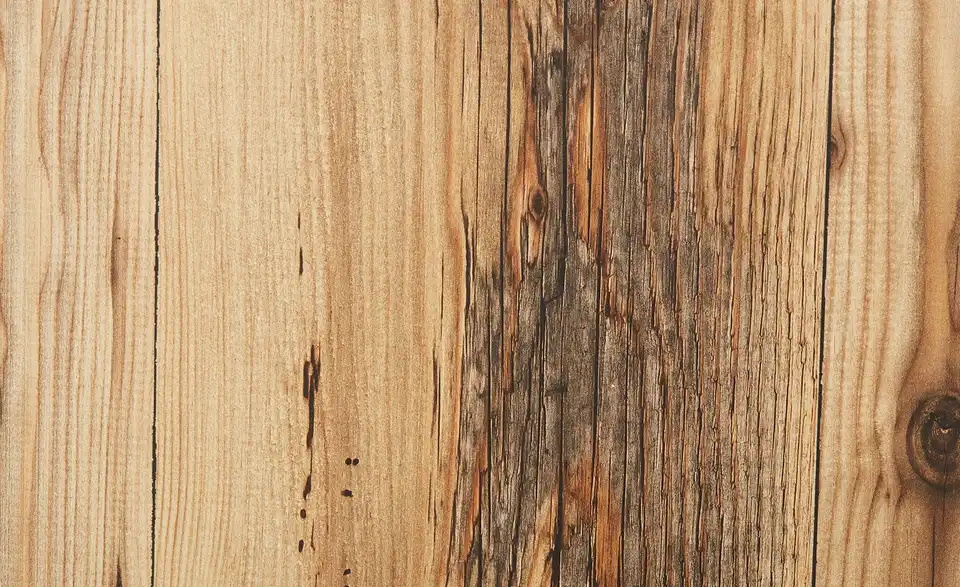 Vitrine Pinto BHT 100|203|38 cm