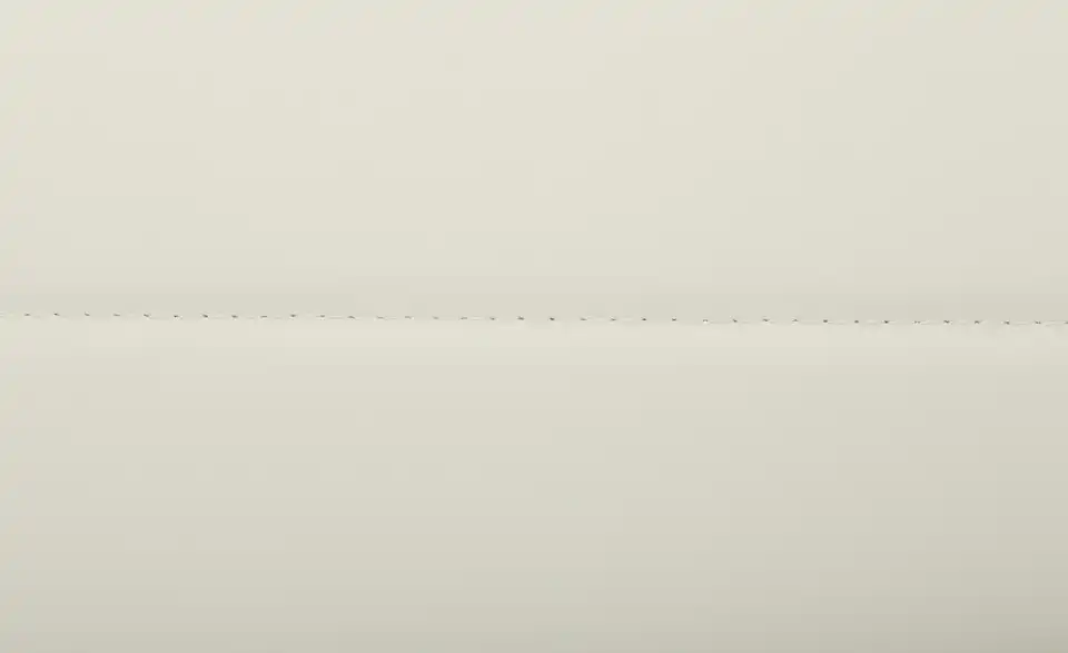 Stuhl Toni BHT 44|98|59 cm, Kunstleder