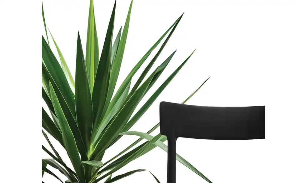 Connubia Stuhl stapelbar Argo BHT 48|82|47 cm