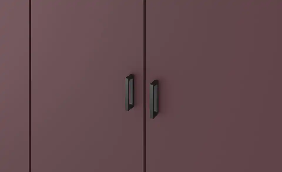 Dreamer eXpress Drehtürenschrank Dreamer BHT 202,5|220|58,5 cm