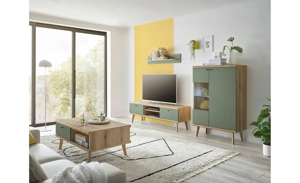 Wohnwand Aliano BHT 260|160|40 cm