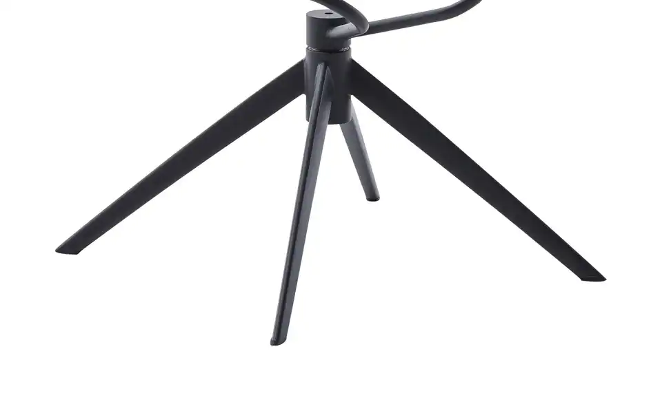 Esszimmerstuhl drehbar Eno BHT 59|92|67 cm, Leder