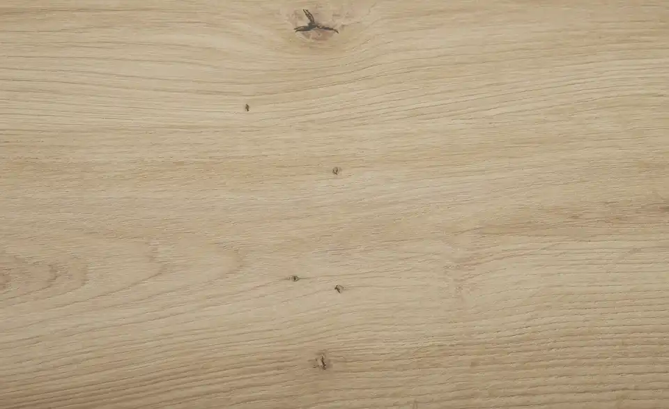 TV-Lowboard Brenna BHT 179,5|52,5|40 cm