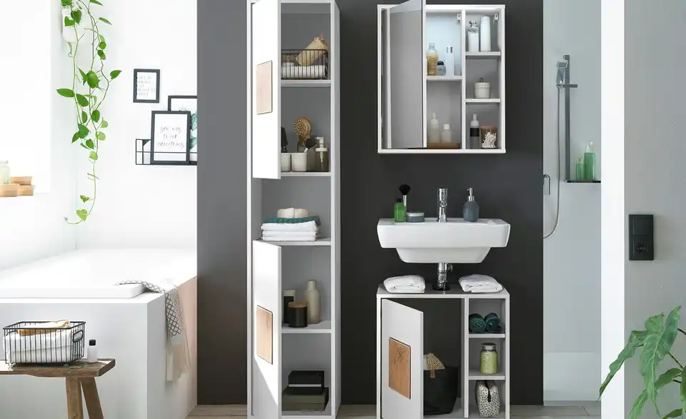 Spiegelschrank Gremminer See BHT 60|70|20 cm