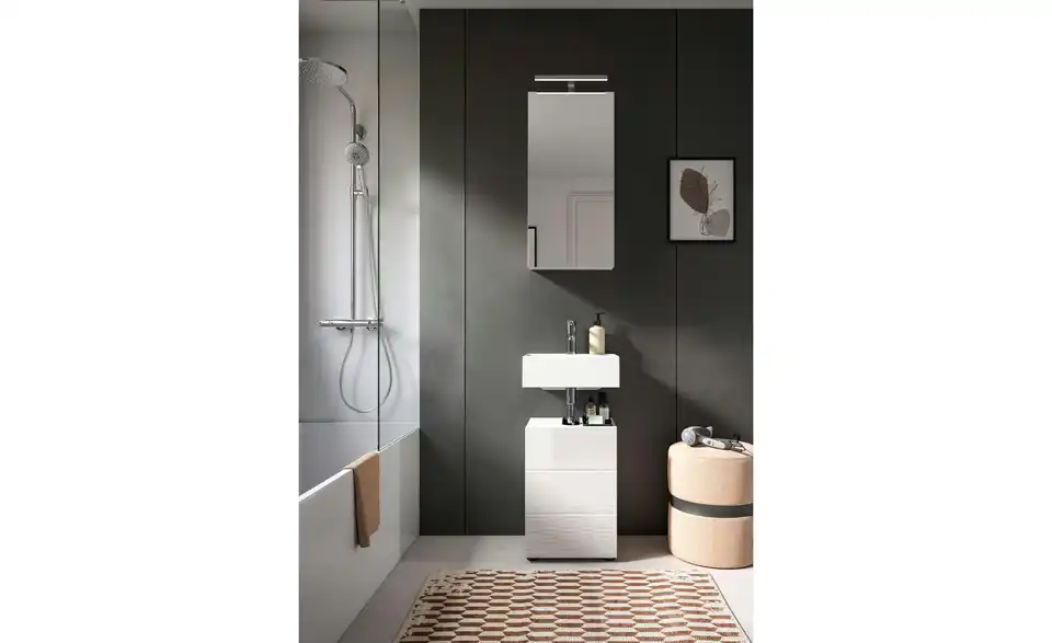 Spiegelschrank Vechtesee BHT 38|77|18 cm