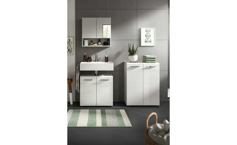 Spiegelschrank Caputher See BHL 55|55|17 cm