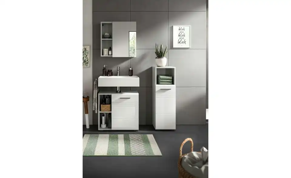 Spiegelschrank Caputher See BHL 55|55|17 cm