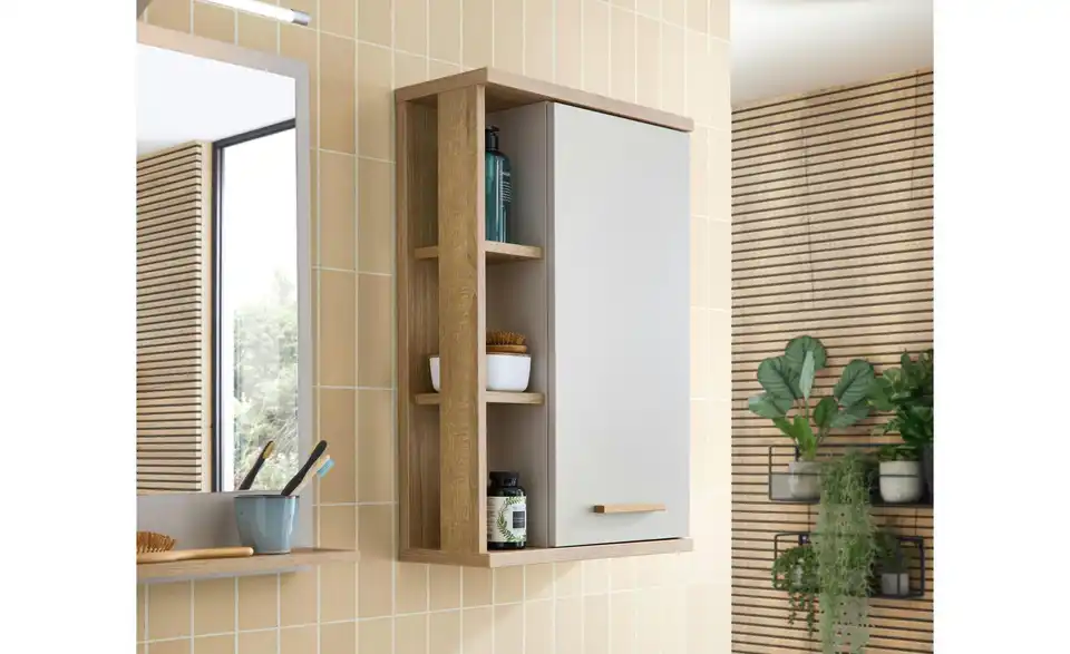 Hängeschrank Dammsee BHL 50,5|74,5|20,5 cm