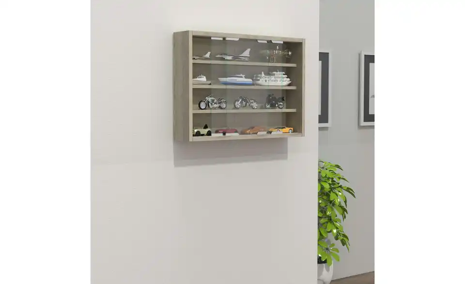 Hängevitrine Agisa BHT 57|40|10 cm