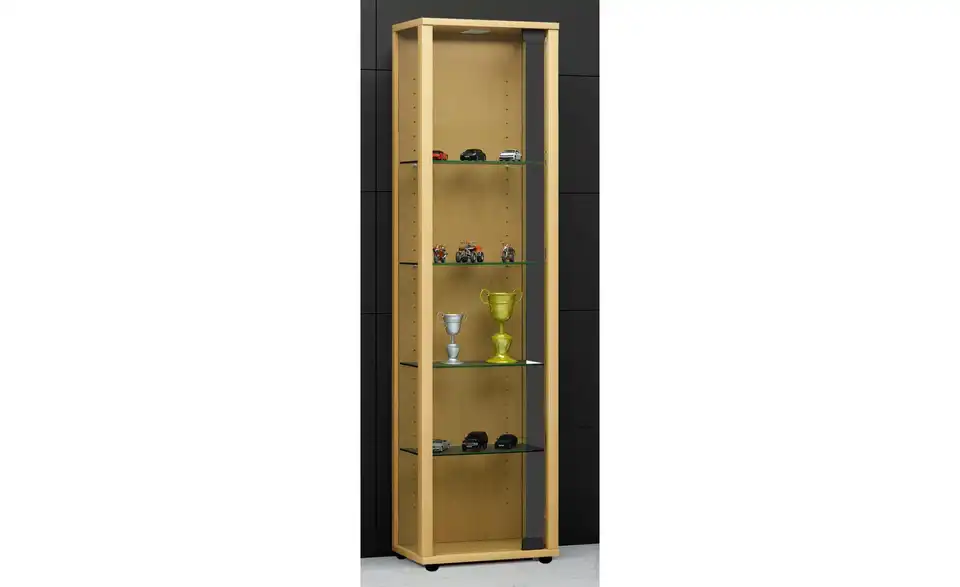 Vitrine Edana BHT 33|113|18 cm
