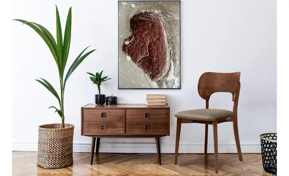 KONSIMO Holzstuhl 2er-Set BHL 47|80,5|45 cm, Velours