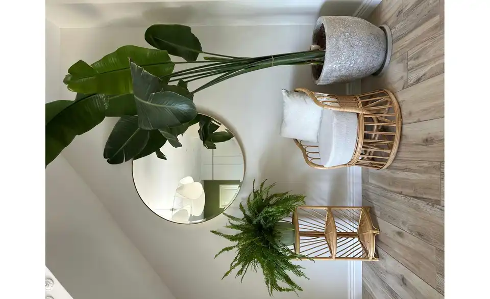 Sessel Palopo BHL 60|63|62 cm, Samt